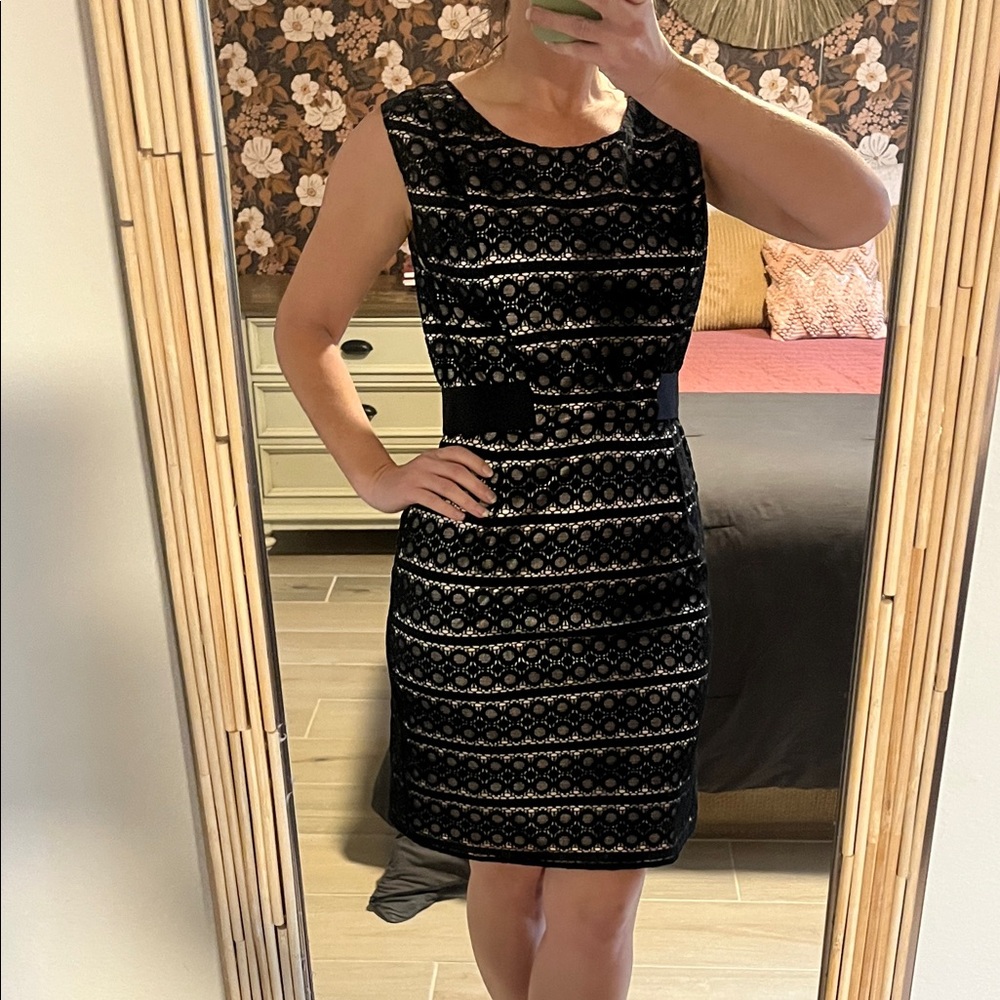 Max & Cleo Black and White Lace Midi Dress